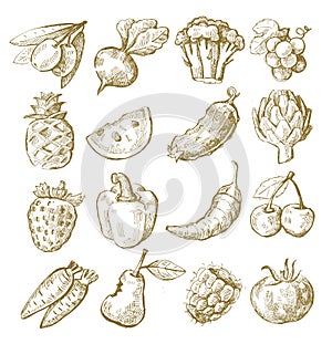 Hand draw fruit and vegetable