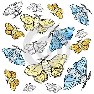 Hand draw illustration butterfly silkworm. For textil, wedding, beautiful background. photo