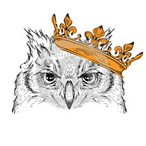 Hand draw Image Portrait owl in the crown. African / indian / totem / tattoo design. Use for print, posters, t-shirts. Hand draw