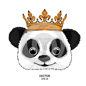 Hand draw Image Portrait of panda in the crown. Hand draw vector illustration