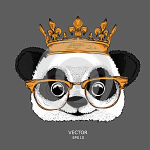 Hand draw Image Portrait of panda in the gold crown. Hand draw vector illustration