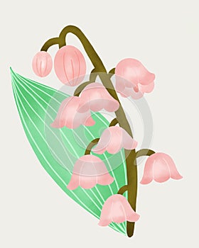 Hand draw of Lily of the walley Tree illustration photo