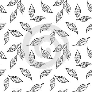 Hand draw line seamless vector pattern flowers set. Peony illustration. Logo design. For wedding cards, invitation card
