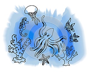 Hand draw marina creatures