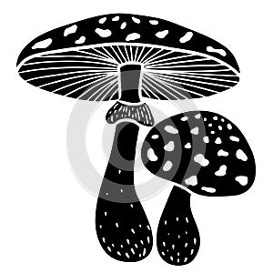 Hand draw mushroom fly agaric. Black vector illustration.