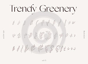 Hand draw one line floral elements greenery vector