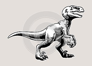 Hand Draw Raptor Illustration in White Background isolated