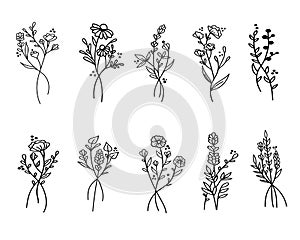 Hand draw set of floral branched and leaves.