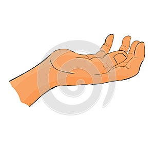 Hand Draw Sketch Gesture Hand Holding, Picking / Take or Receive Something for your element design