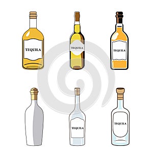 Hand draw of tequila bottle. Vector illustration