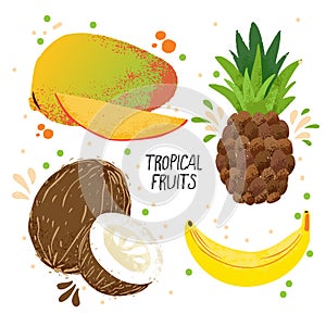 Hand draw vector set of tropical fruits - mango, banana, pineapple and coconut isolated on white background. Tropical