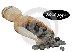 Hand draw watercolor illustration of black pepper