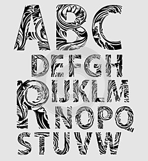 Hand Drawing Alphabet