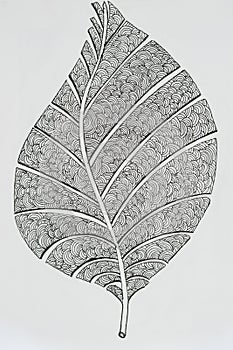 Hand drawing artistic leaf for adult coloring pages in doodle