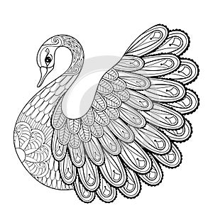 Hand drawing artistic Swan for adult coloring pages in doodle