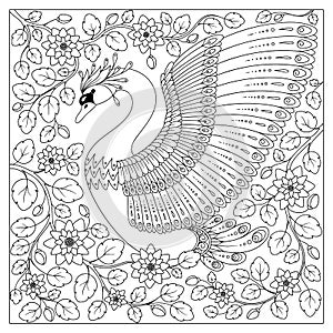 Hand drawing artistic Swan in flowers for adult coloring pages