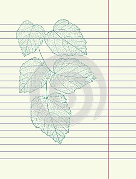 Hand drawing autumn leaf vector