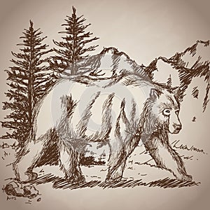 Hand drawing bear walk vintage landscape