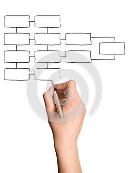 Hand Drawing Blank Organization Chart