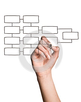 Hand Drawing Blank Organization Chart