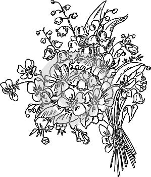 Hand drawing of a bouquet of spring flowers