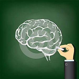 Hand drawing a chalk human brain.