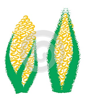 Hand drawing corn, maize,