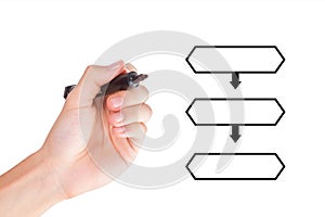 Hand Drawing Hierarchical Flow Chart with Marker