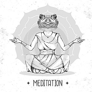 Hand drawing hipster animal frog meditating in lotus position on mandala background.