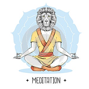 Hand drawing hipster animal lion meditating in lotus position on mandala background.