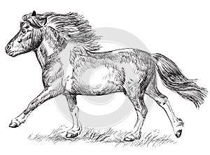 Hand drawing image pony galloping