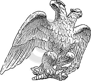 A hand drawing of an imperial two-headed eagle