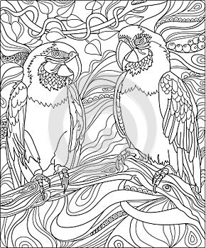 Hand drawing  monochrome flowers and parrots color page.