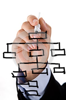 Hand drawing organigram chart in whiteboard