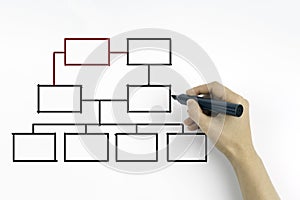 Hand drawing an organization chart on a white board