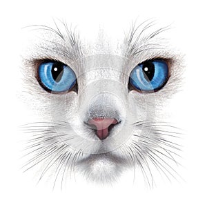 Hand-drawing portrait of white cat