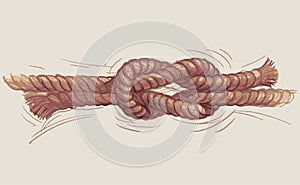 Hand drawing of rigging rope tied in sea knot