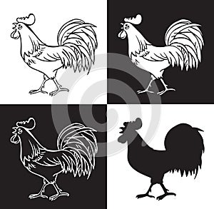Hand drawing rooster crowed