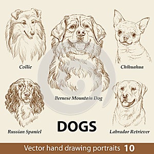Set of hand drawing dogs part 10 vector illustration