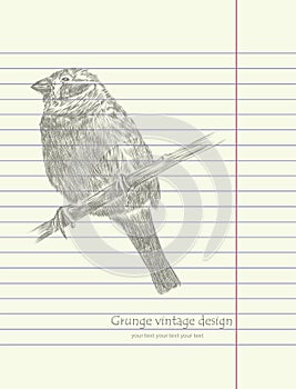 Hand drawing sketch bird vector