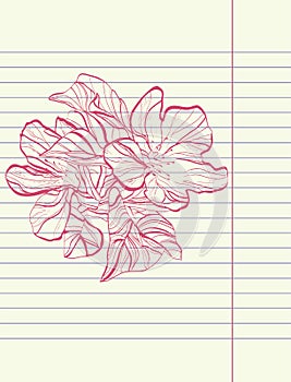 Hand drawing sketch flower vector