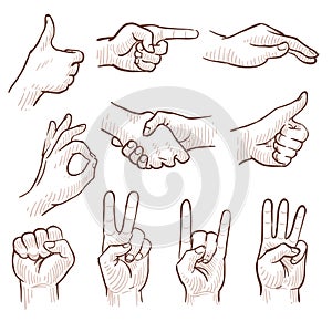 Hand drawing sketch man hands showing different gestures vector set