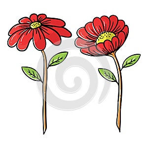 hand drawing style of color flower