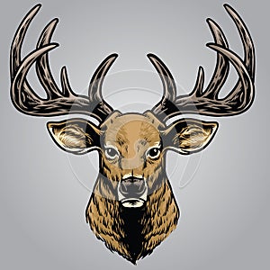 Hand drawing style of deer head