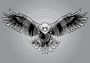 Hand drawing style of eagle