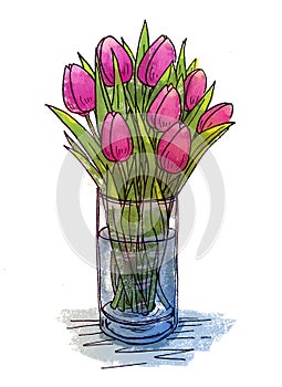 Hand drawing tulips in a glass vase photo