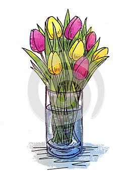Hand drawing tulips in a glass vase photo