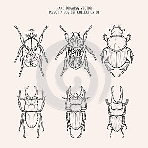 Hand Drawing Vector Insects and Bugs Collection 01