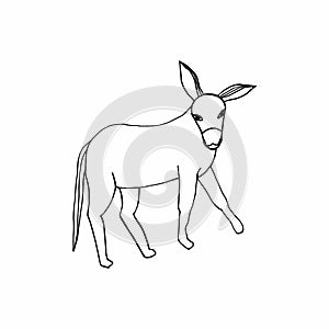 Hand-drawing on a white background donkey