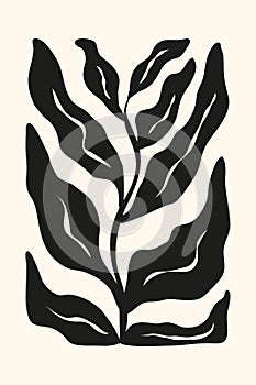 Hand drawn abstract plant with leaves in black color in Matisse style.